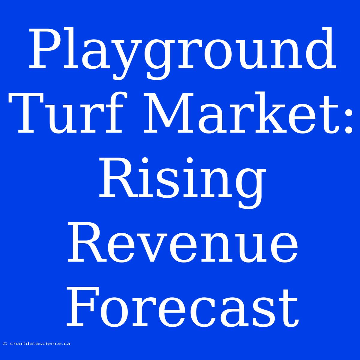 Playground Turf Market: Rising Revenue Forecast