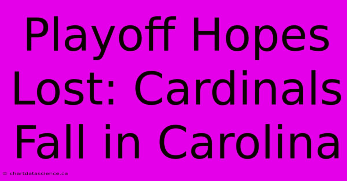 Playoff Hopes Lost: Cardinals Fall In Carolina