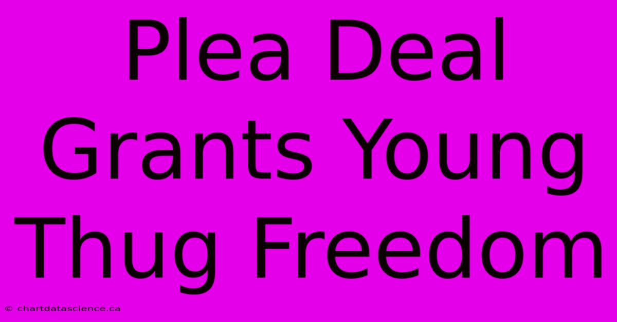 Plea Deal Grants Young Thug Freedom