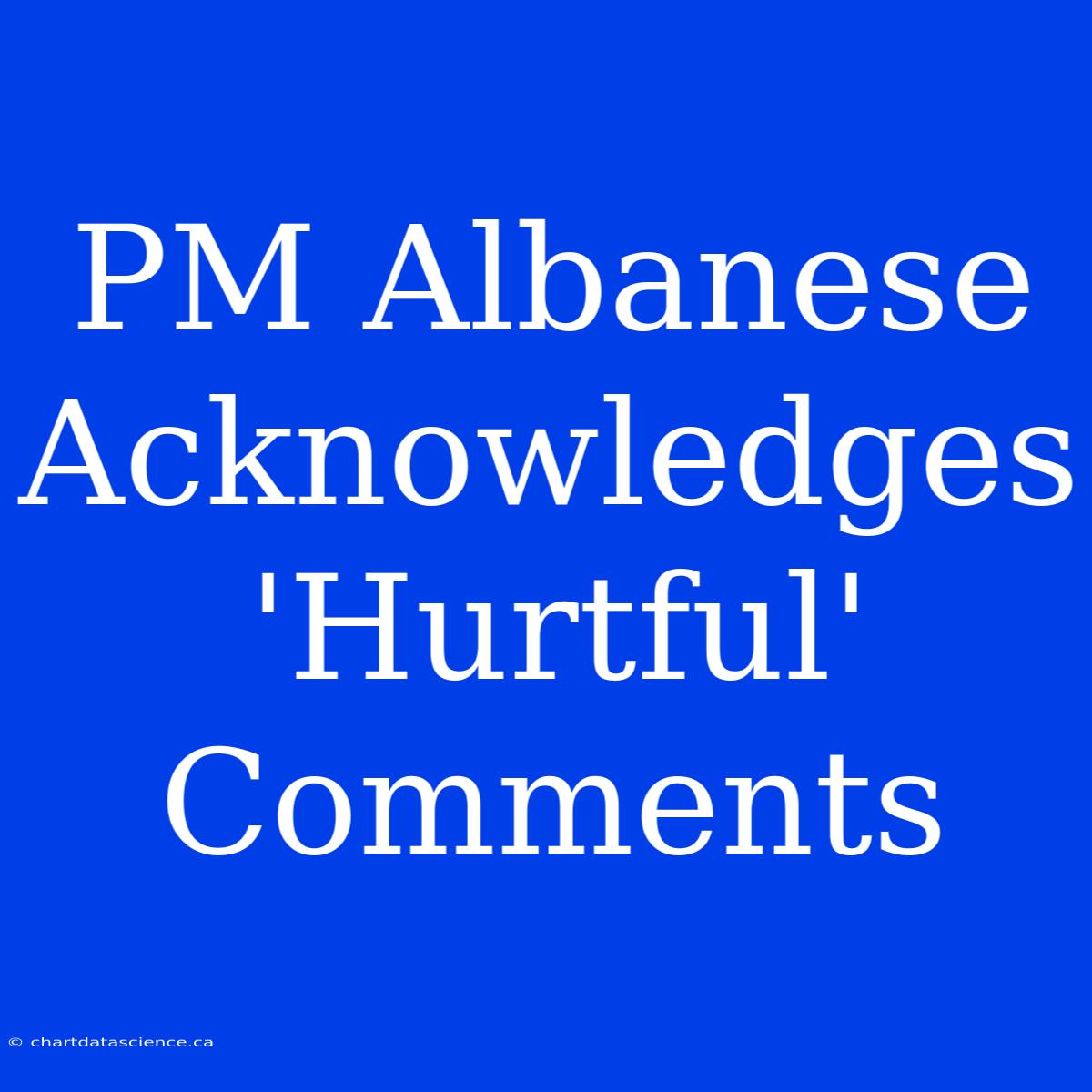 PM Albanese Acknowledges 'Hurtful' Comments