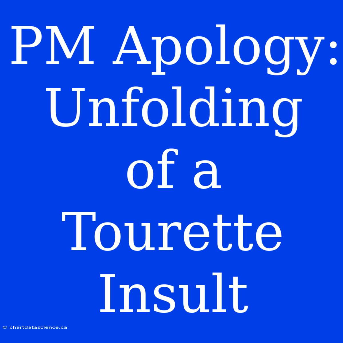 PM Apology: Unfolding Of A Tourette Insult