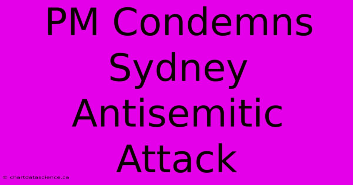 PM Condemns Sydney Antisemitic Attack