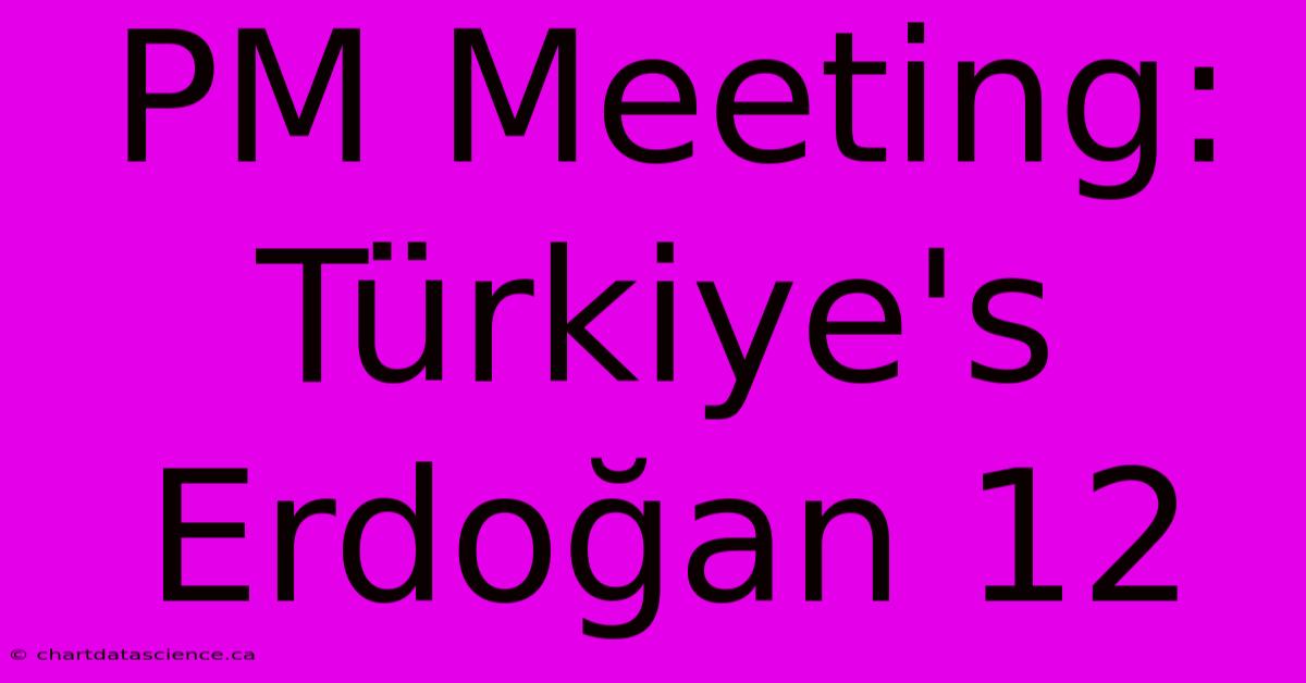 PM Meeting: Türkiye's Erdoğan 12