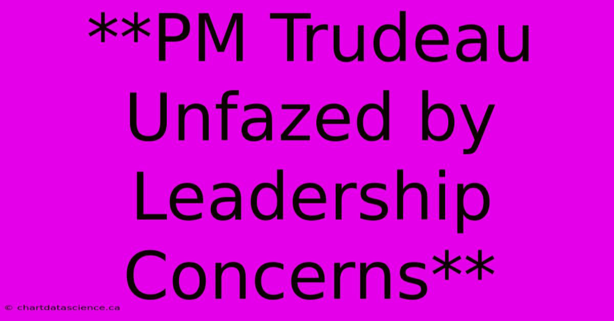 **PM Trudeau Unfazed By Leadership Concerns**