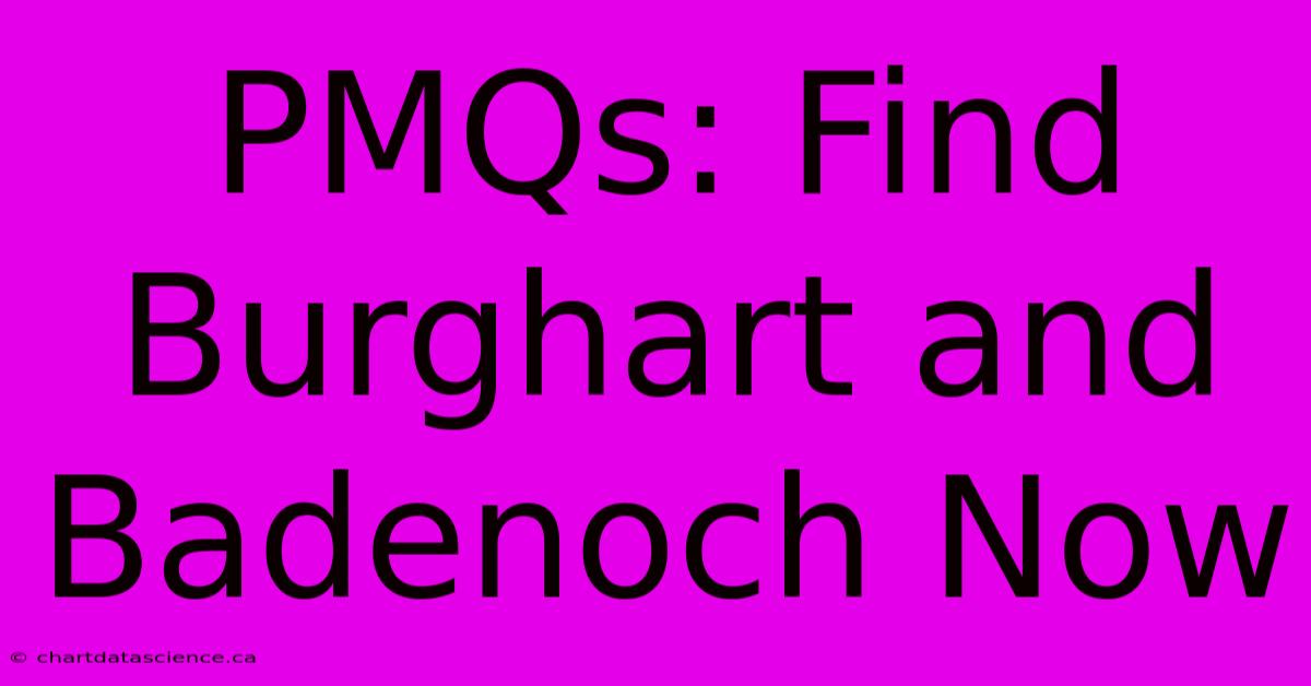 PMQs: Find Burghart And Badenoch Now