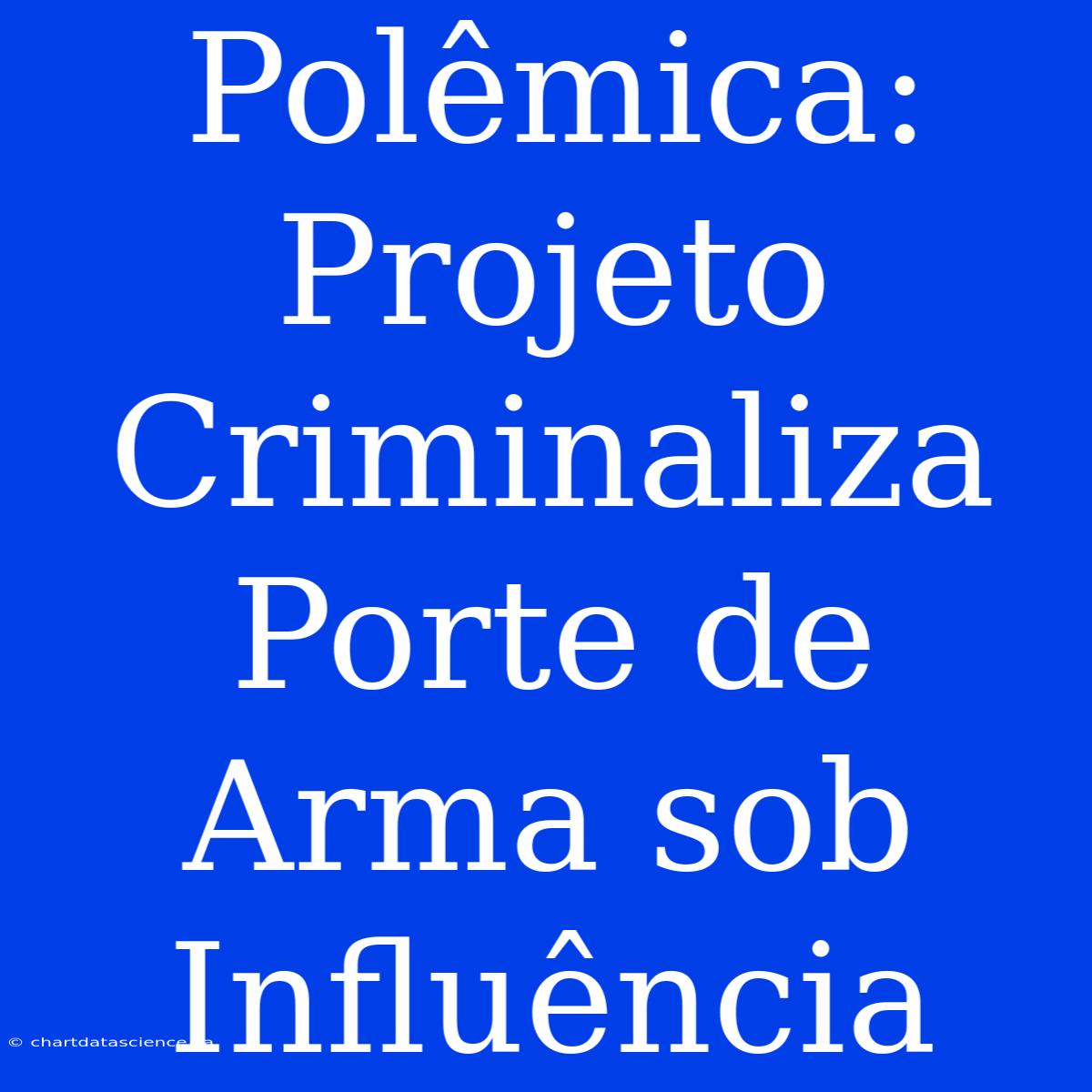 Polêmica: Projeto Criminaliza Porte De Arma Sob Influência