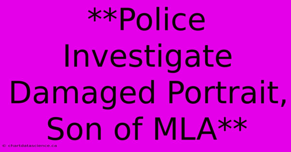 **Police Investigate Damaged Portrait, Son Of MLA**