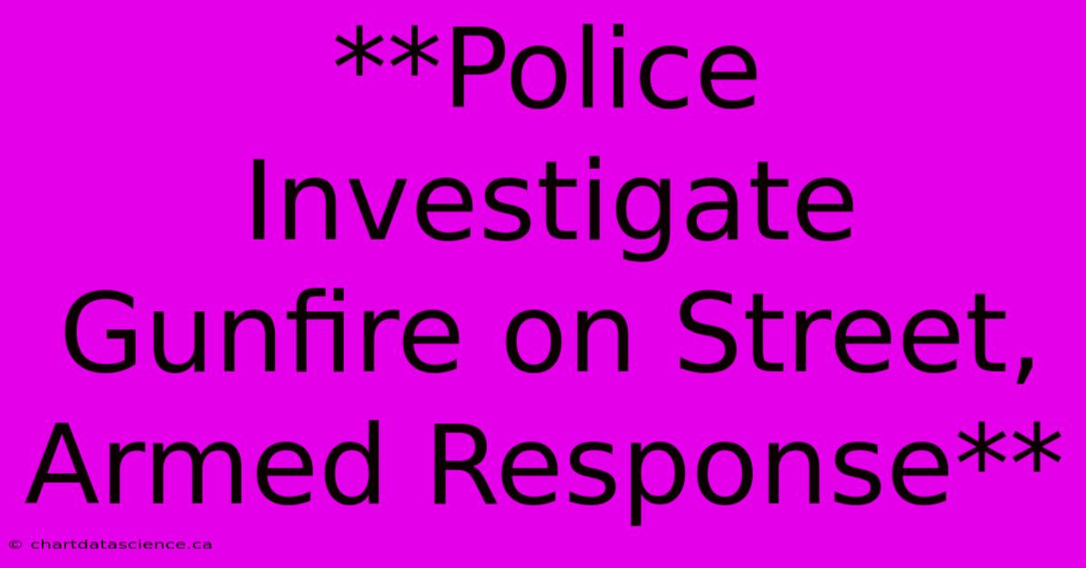 **Police Investigate Gunfire On Street, Armed Response**