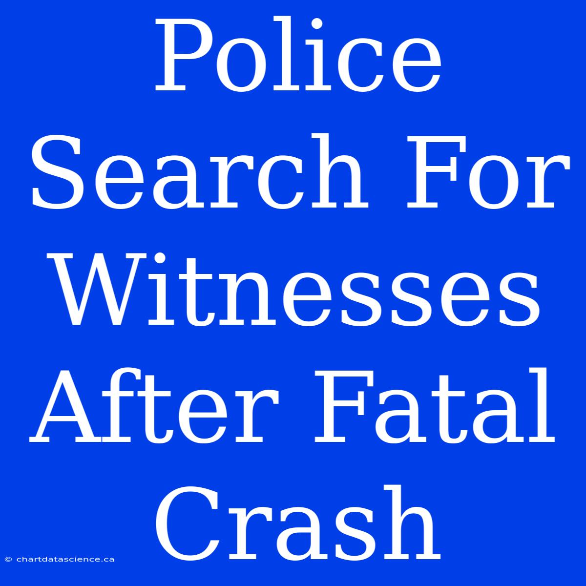 Police Search For Witnesses After Fatal Crash