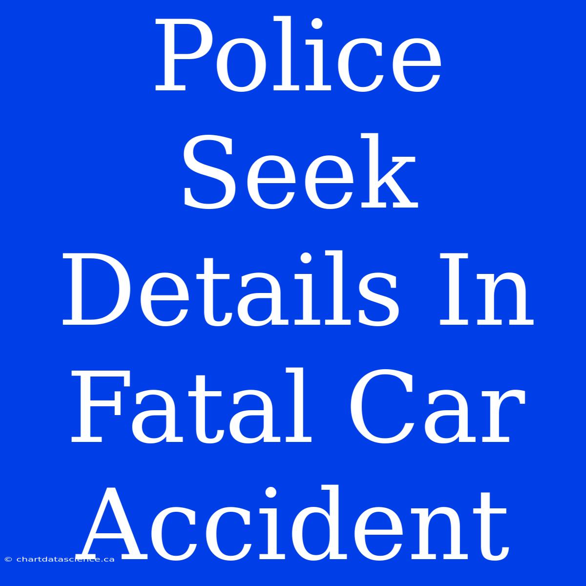 Police Seek Details In Fatal Car Accident