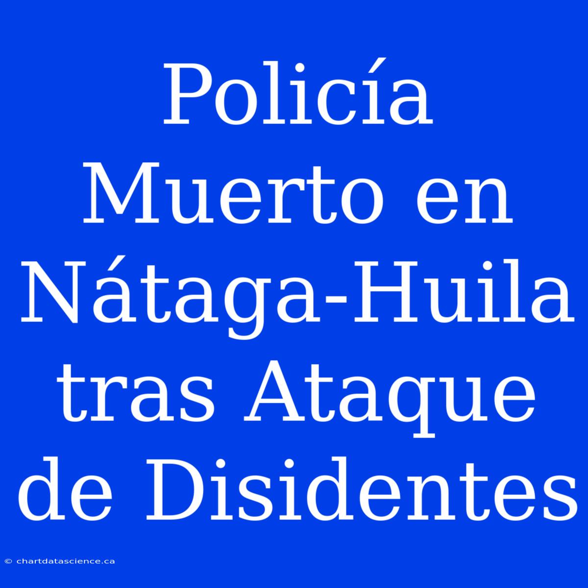 Policía Muerto En Nátaga-Huila Tras Ataque De Disidentes