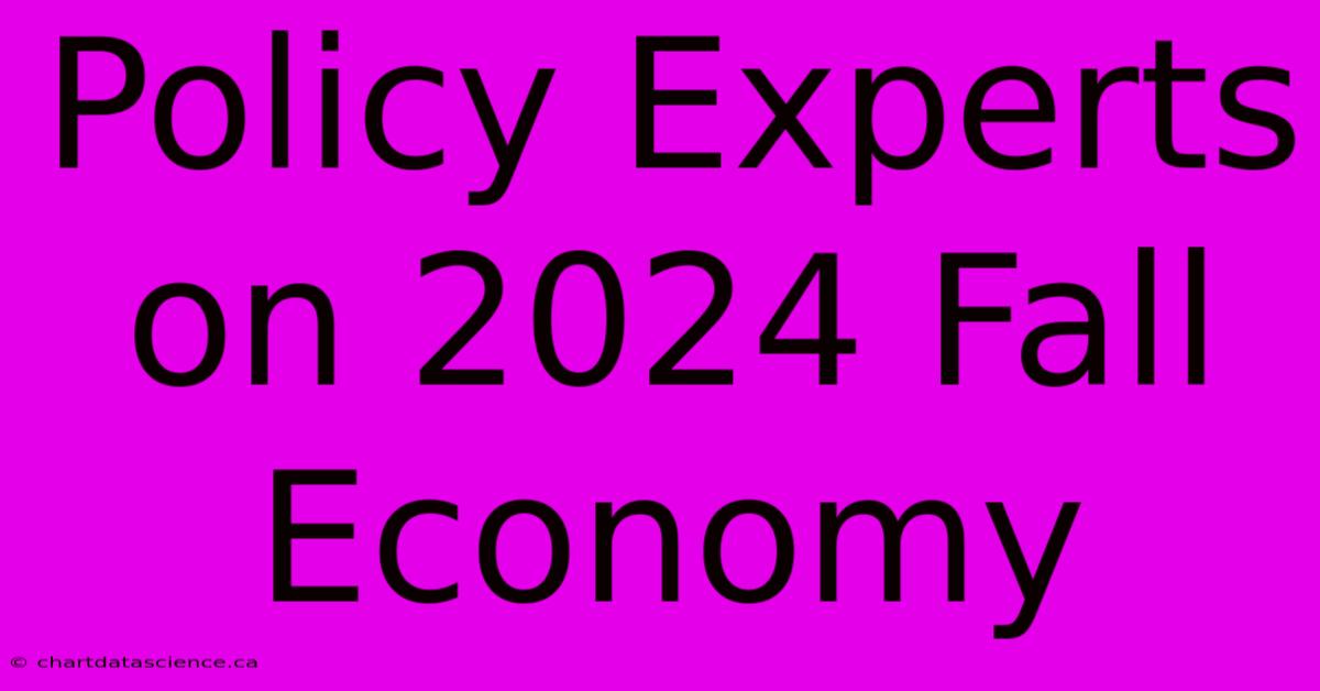 Policy Experts On 2024 Fall Economy