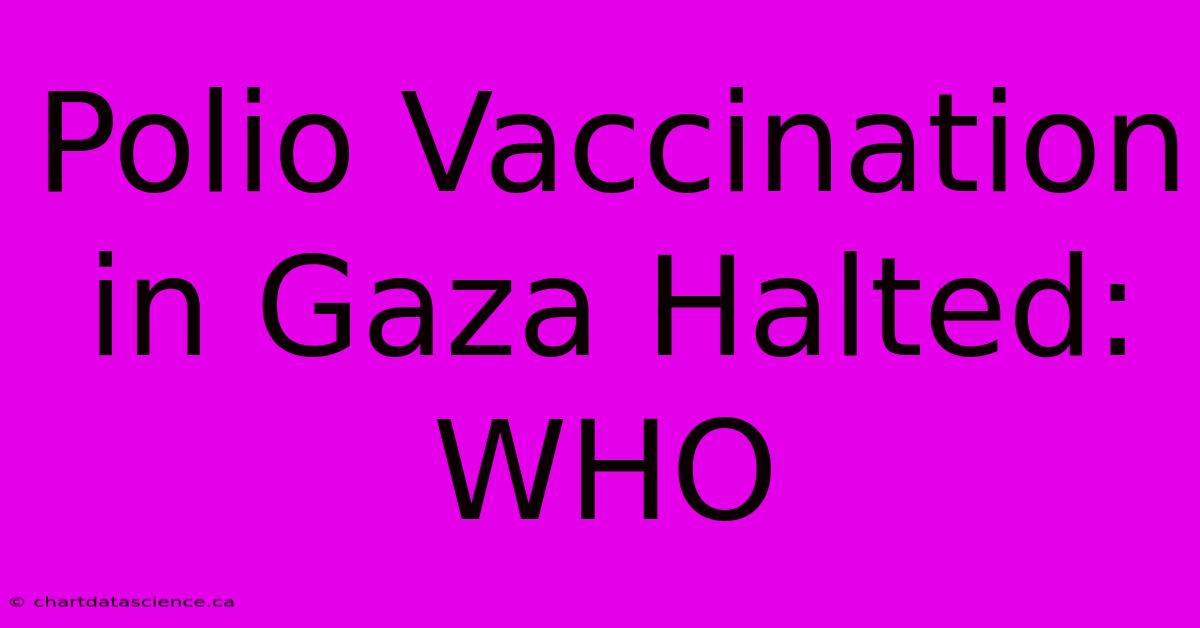 Polio Vaccination In Gaza Halted: WHO 