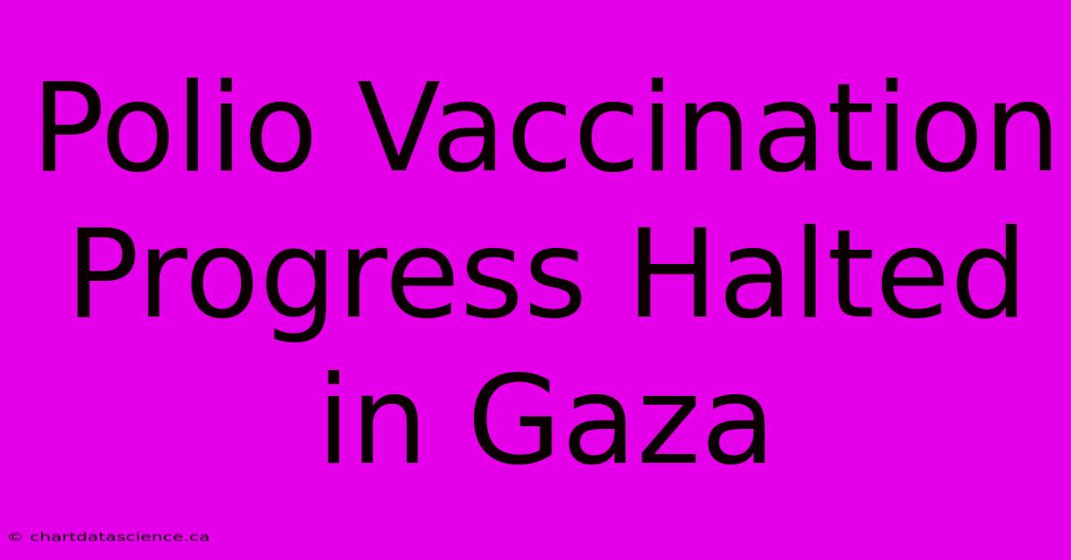 Polio Vaccination Progress Halted In Gaza