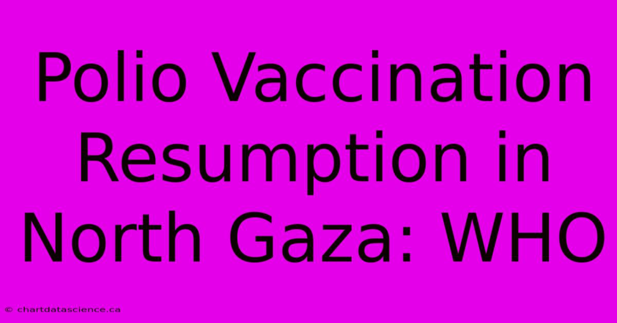 Polio Vaccination Resumption In North Gaza: WHO 