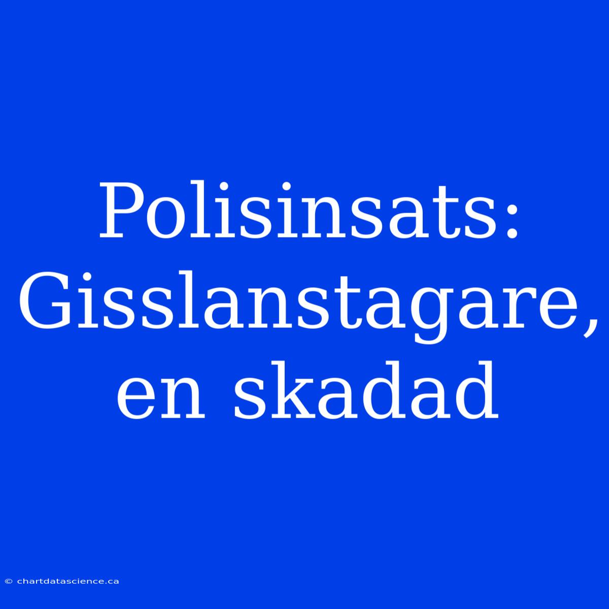 Polisinsats: Gisslanstagare, En Skadad