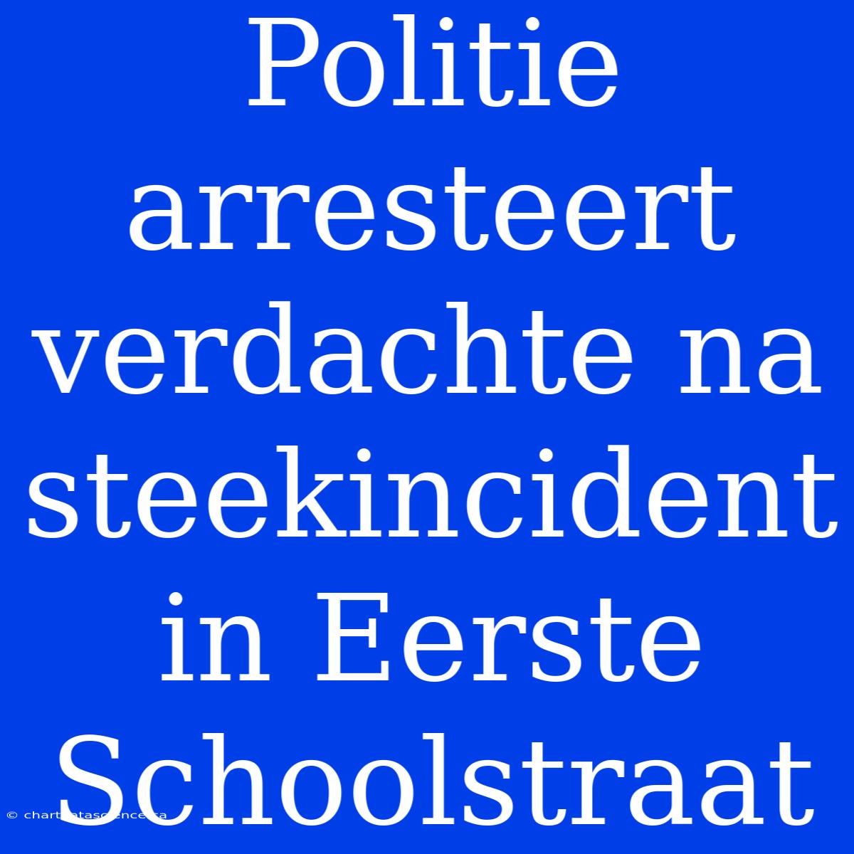 Politie Arresteert Verdachte Na Steekincident In Eerste Schoolstraat