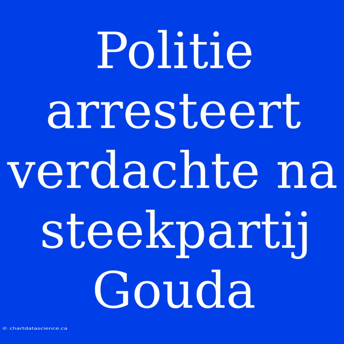 Politie Arresteert Verdachte Na Steekpartij Gouda