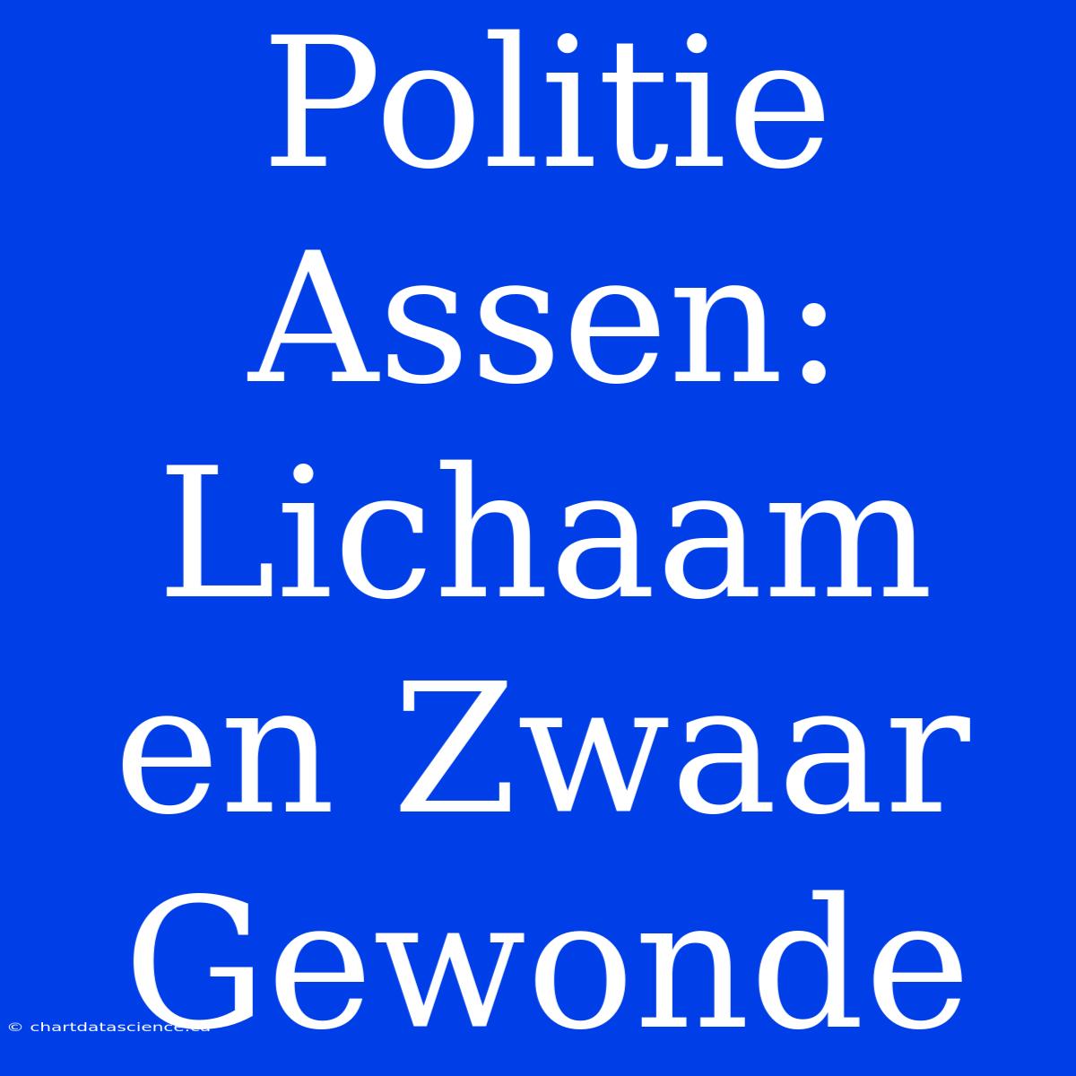 Politie Assen: Lichaam En Zwaar Gewonde