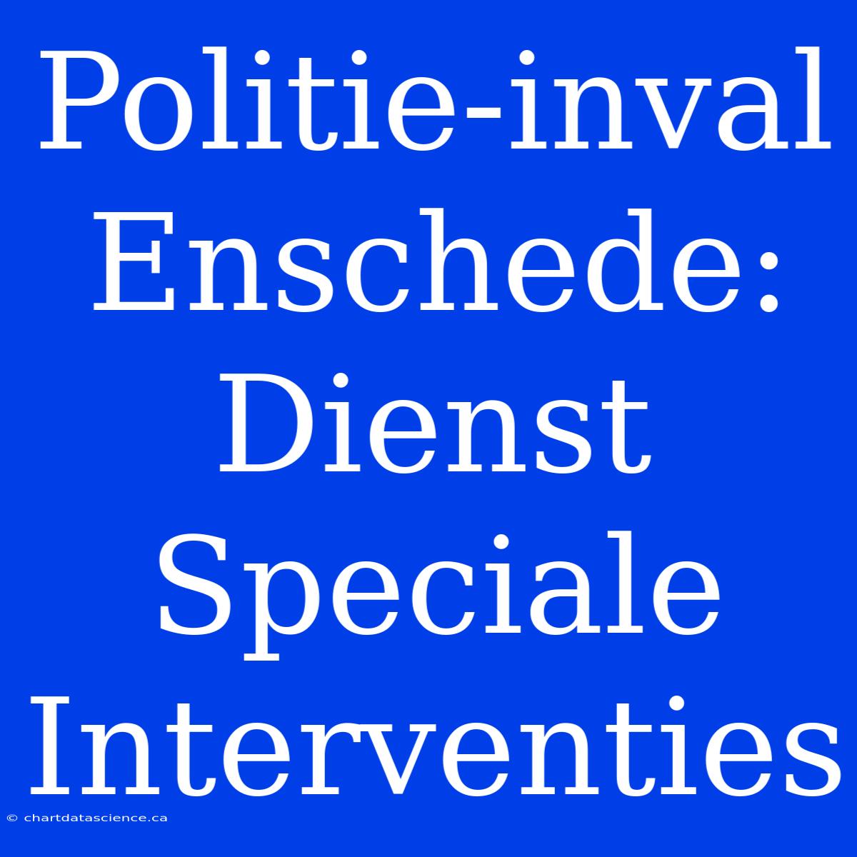 Politie-inval Enschede: Dienst Speciale Interventies