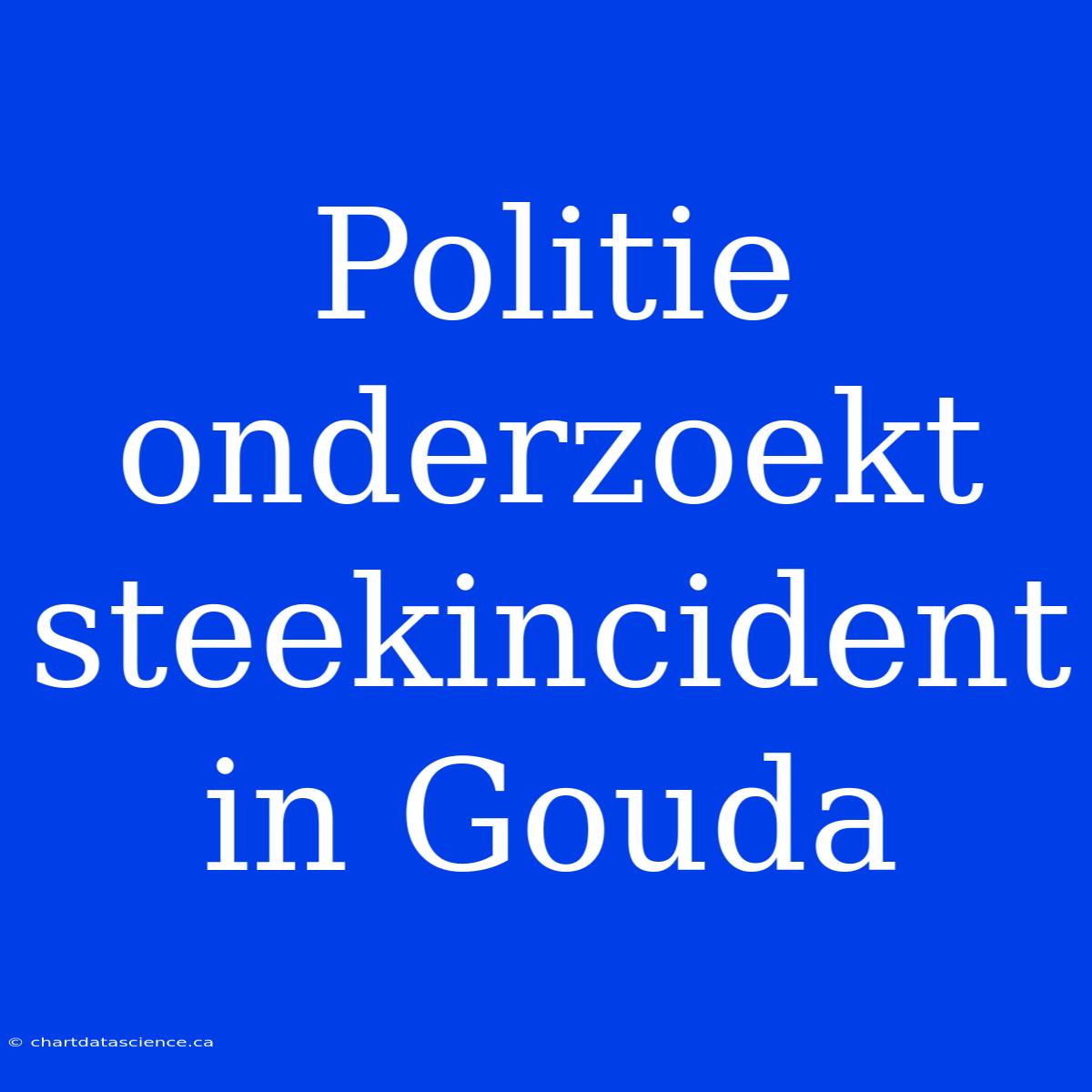 Politie Onderzoekt Steekincident In Gouda