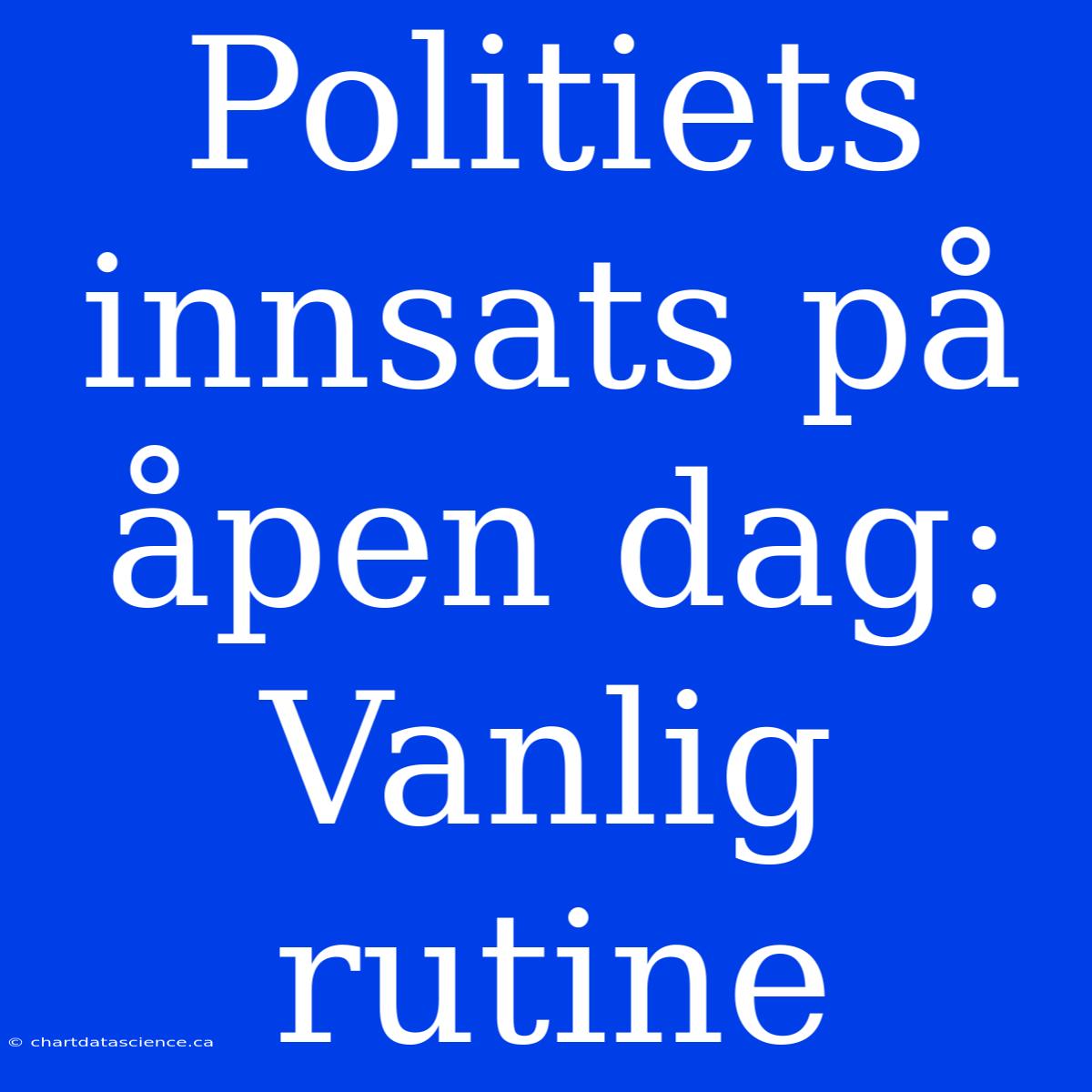 Politiets Innsats På Åpen Dag: Vanlig Rutine