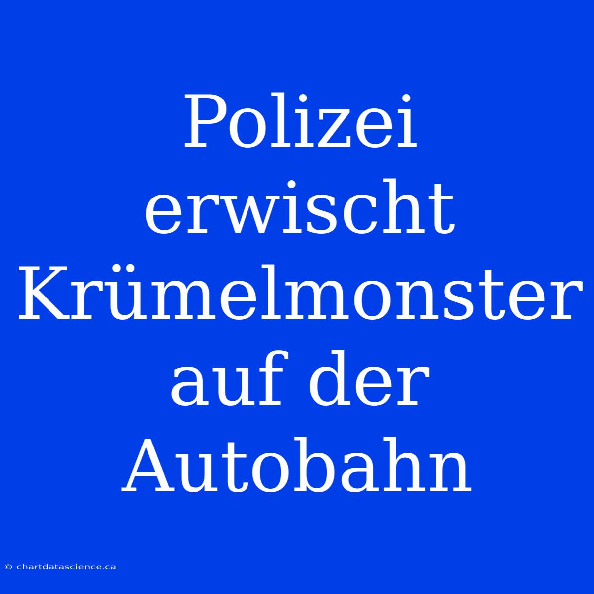 Polizei Erwischt Krümelmonster Auf Der Autobahn