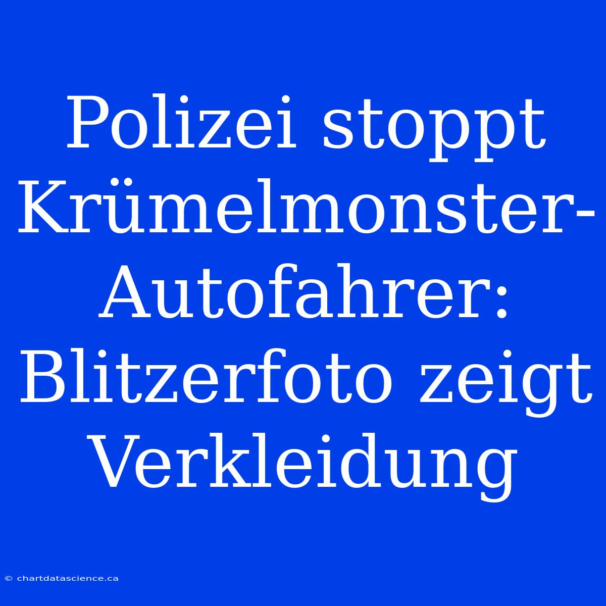 Polizei Stoppt Krümelmonster-Autofahrer: Blitzerfoto Zeigt Verkleidung