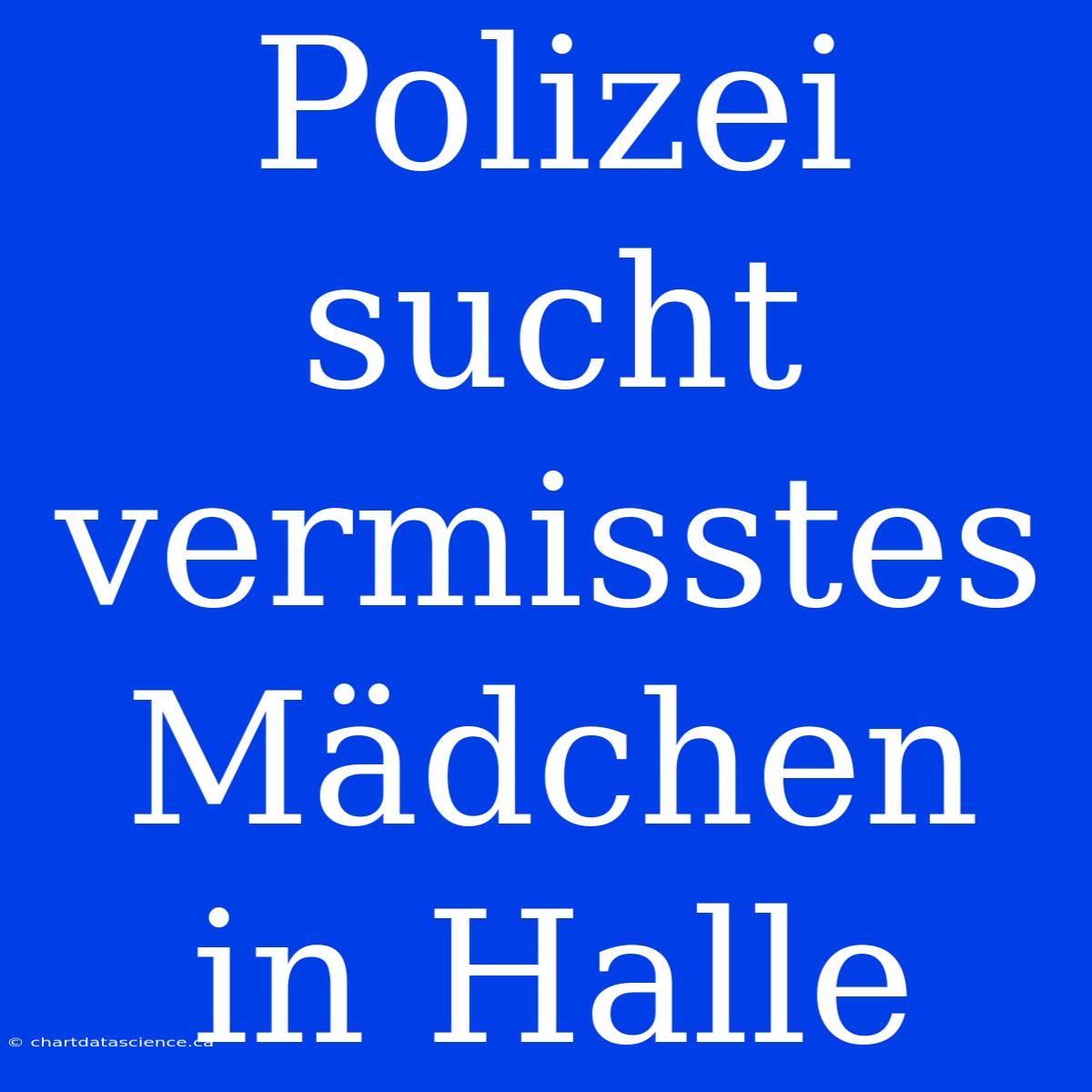 Polizei Sucht Vermisstes Mädchen In Halle