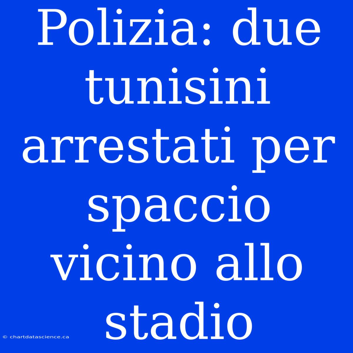 Polizia: Due Tunisini Arrestati Per Spaccio Vicino Allo Stadio