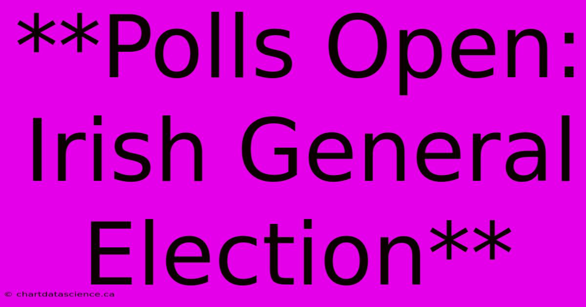 **Polls Open: Irish General Election**