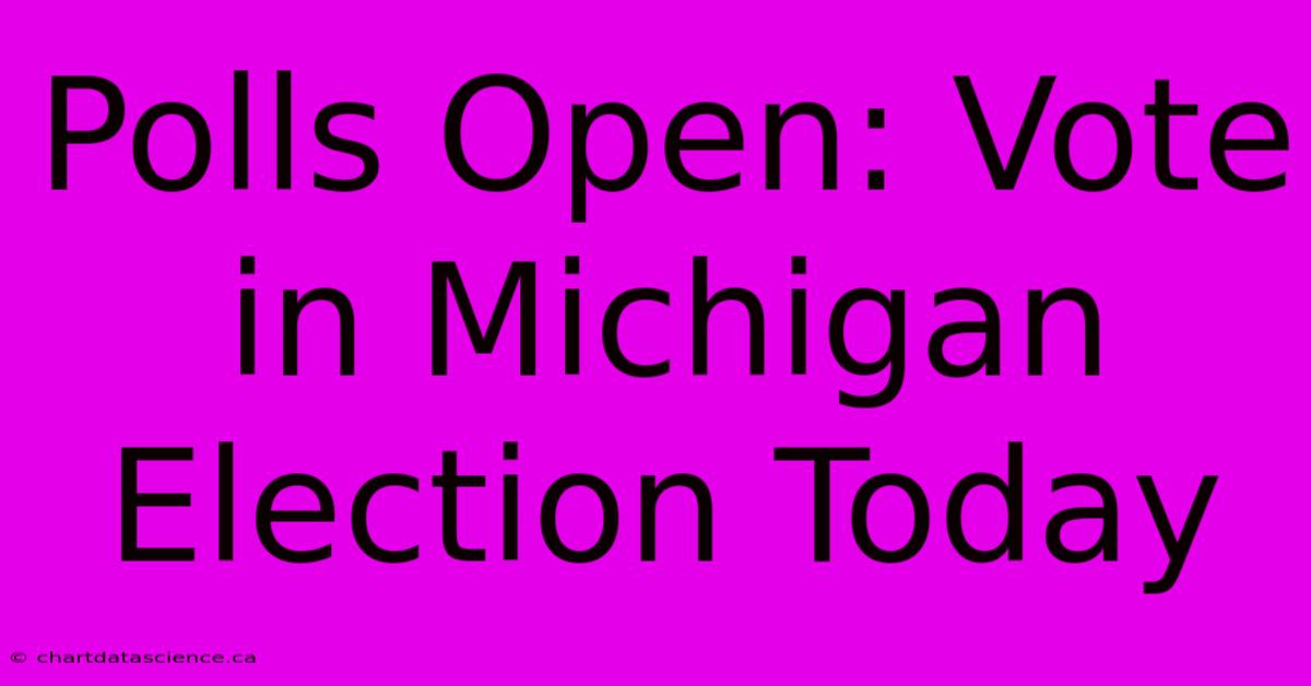 Polls Open: Vote In Michigan Election Today 