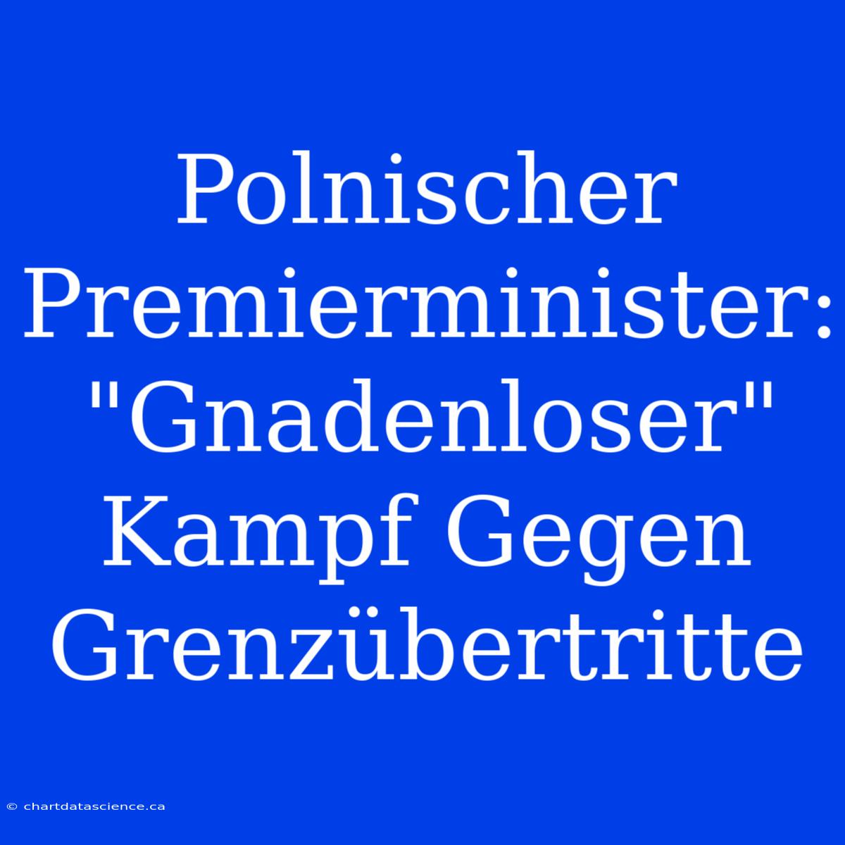 Polnischer Premierminister: 