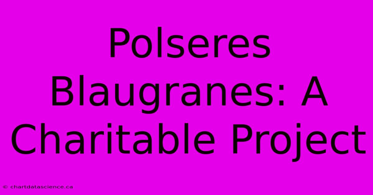 Polseres Blaugranes: A Charitable Project