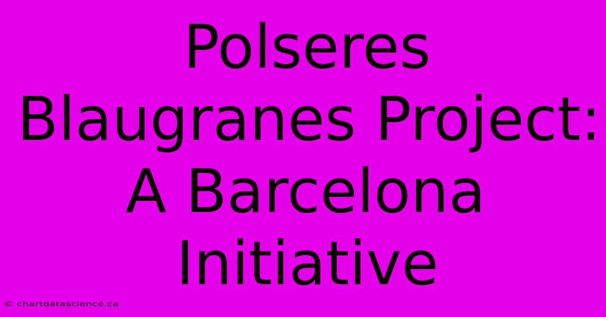 Polseres Blaugranes Project: A Barcelona Initiative