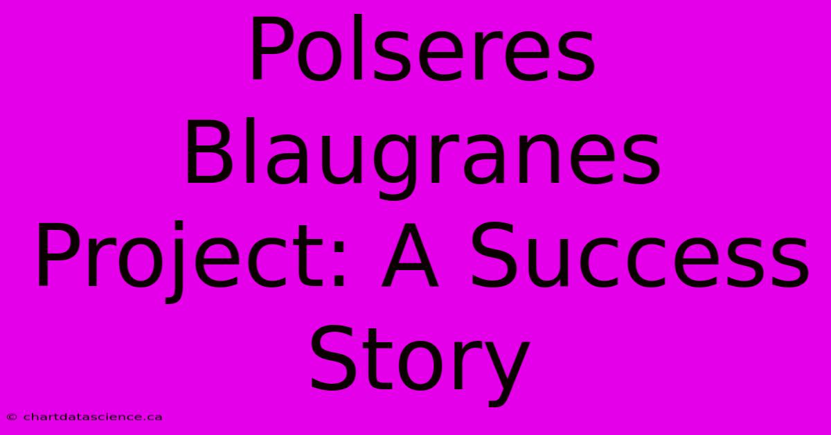 Polseres Blaugranes Project: A Success Story