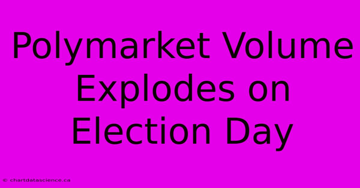 Polymarket Volume Explodes On Election Day