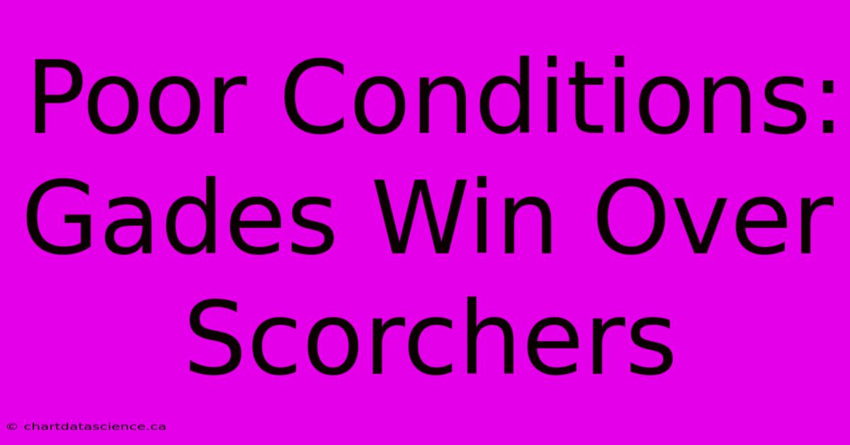 Poor Conditions: Gades Win Over Scorchers