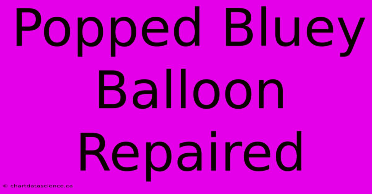 Popped Bluey Balloon Repaired