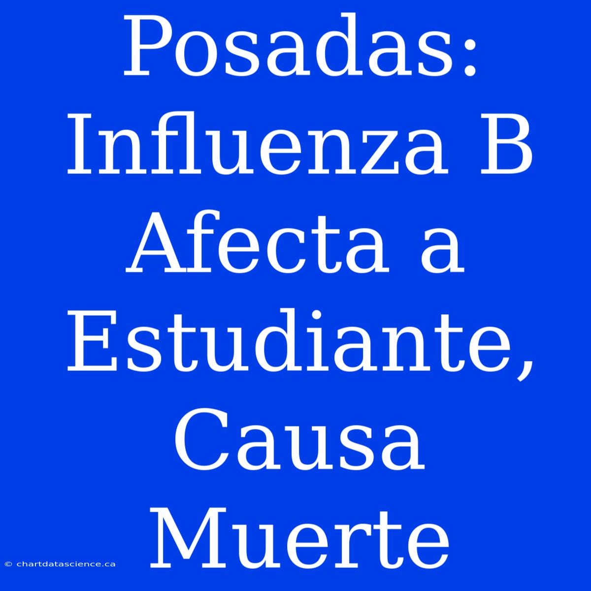 Posadas: Influenza B Afecta A Estudiante, Causa Muerte