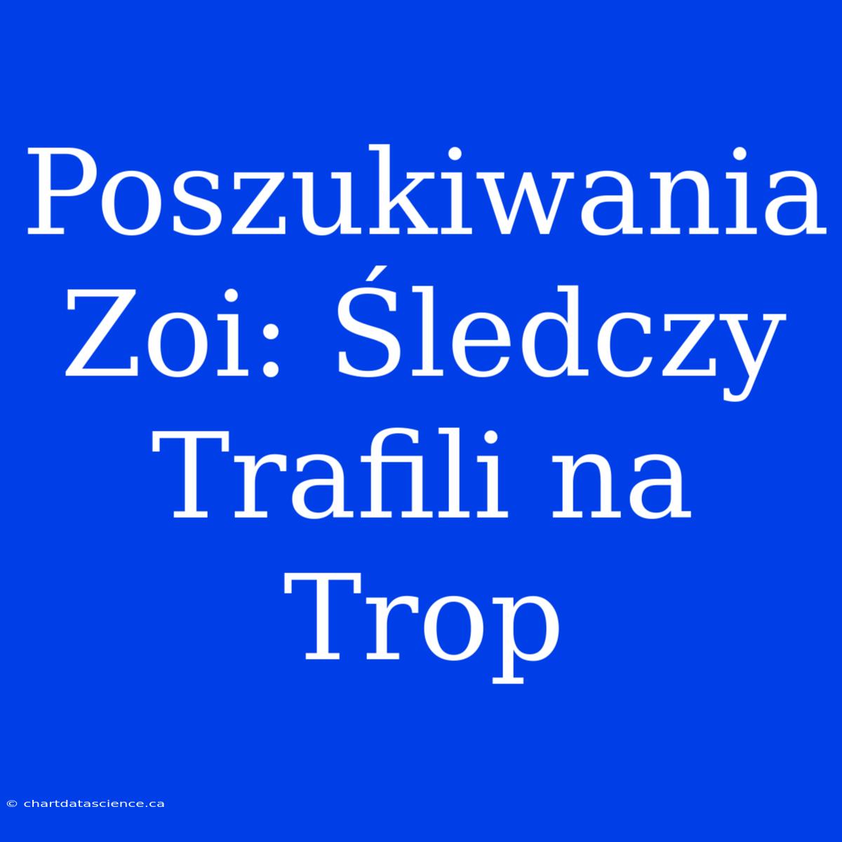 Poszukiwania Zoi: Śledczy Trafili Na Trop