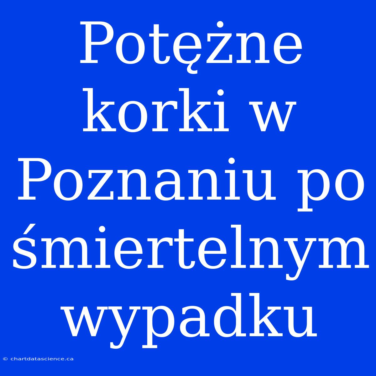 Potężne Korki W Poznaniu Po Śmiertelnym Wypadku