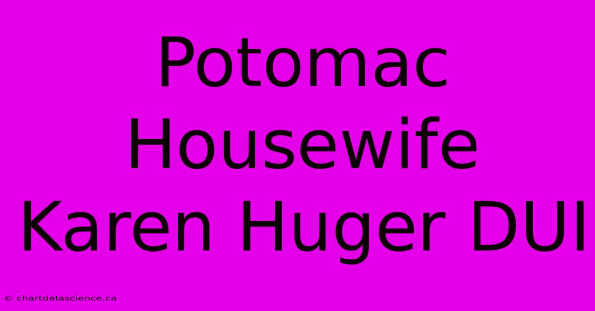 Potomac Housewife Karen Huger DUI