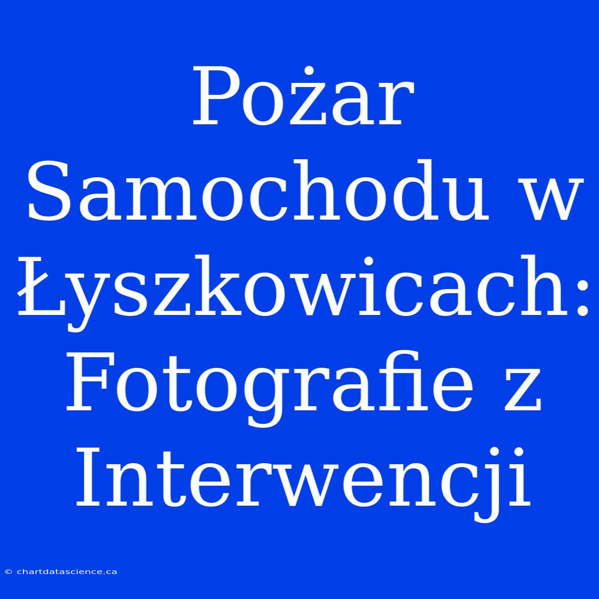 Pożar Samochodu W Łyszkowicach: Fotografie Z Interwencji