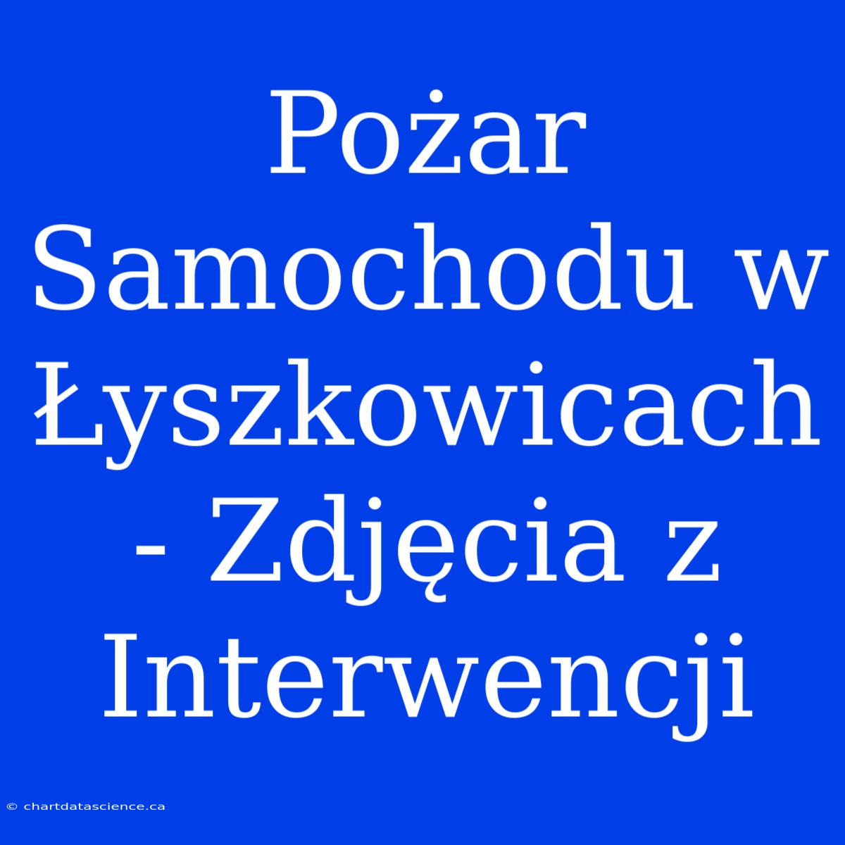 Pożar Samochodu W Łyszkowicach - Zdjęcia Z Interwencji