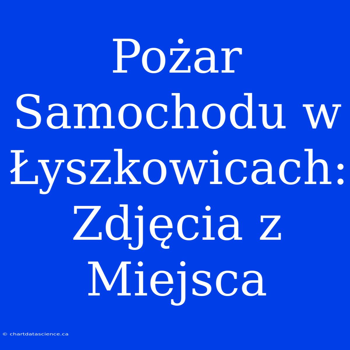 Pożar Samochodu W Łyszkowicach: Zdjęcia Z Miejsca