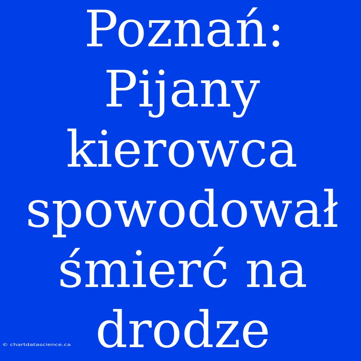 Poznań: Pijany Kierowca Spowodował Śmierć Na Drodze