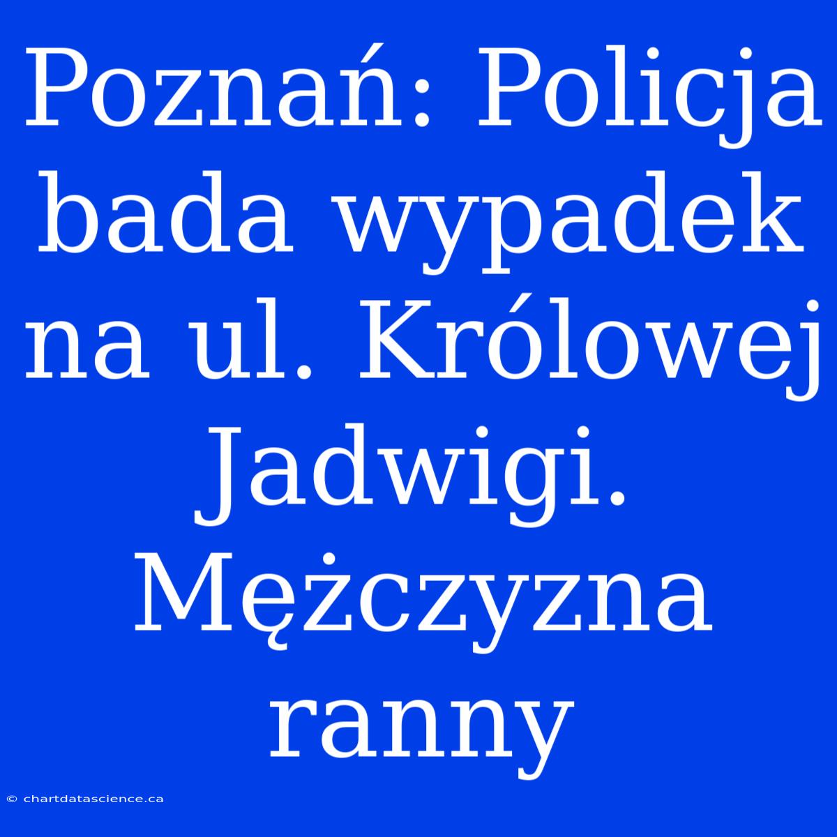 Poznań: Policja Bada Wypadek Na Ul. Królowej Jadwigi. Mężczyzna Ranny