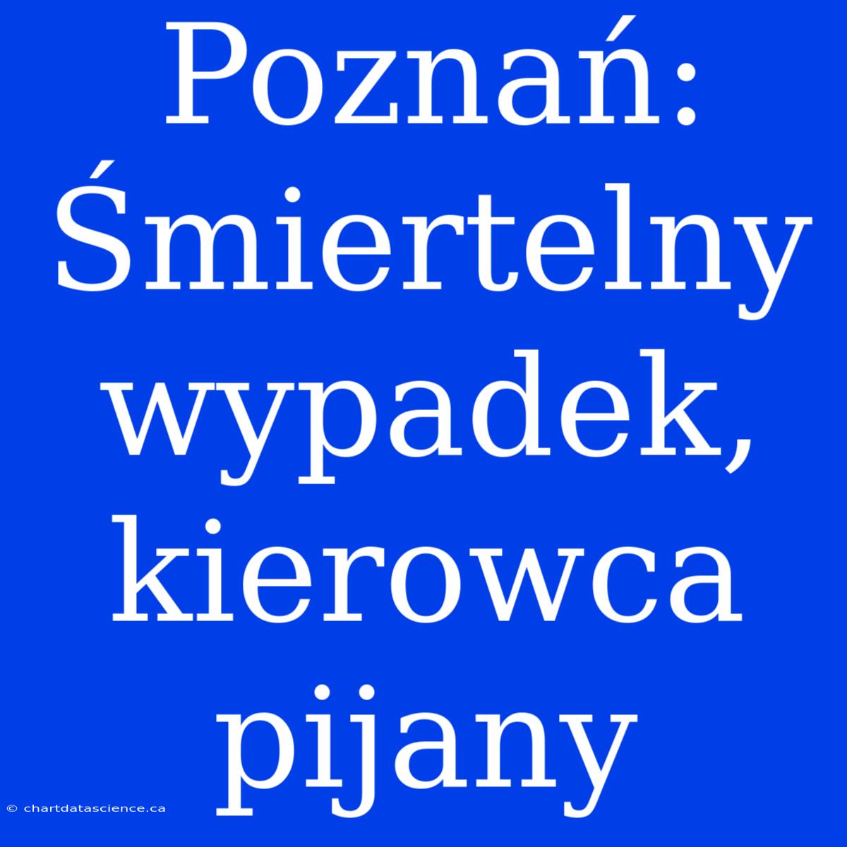 Poznań: Śmiertelny Wypadek, Kierowca Pijany