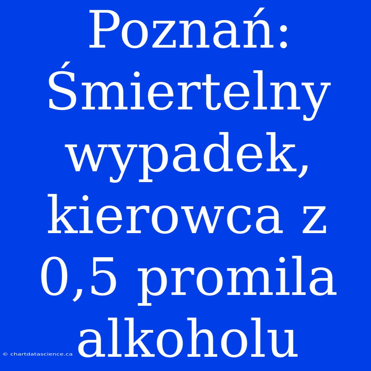 Poznań: Śmiertelny Wypadek, Kierowca Z 0,5 Promila Alkoholu